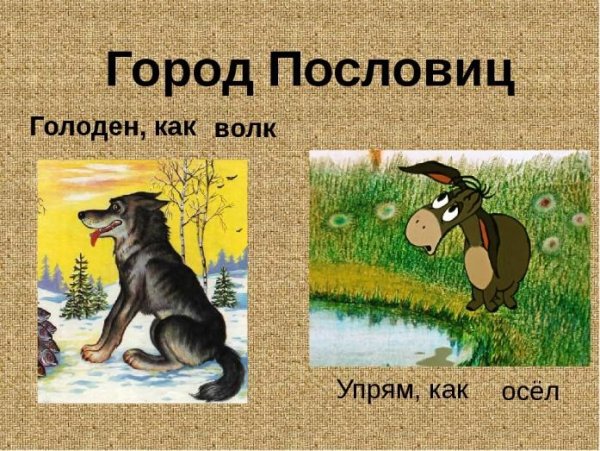 Постер Овечка