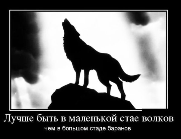Волк слабее Льва и тигра но в цирке не выступает