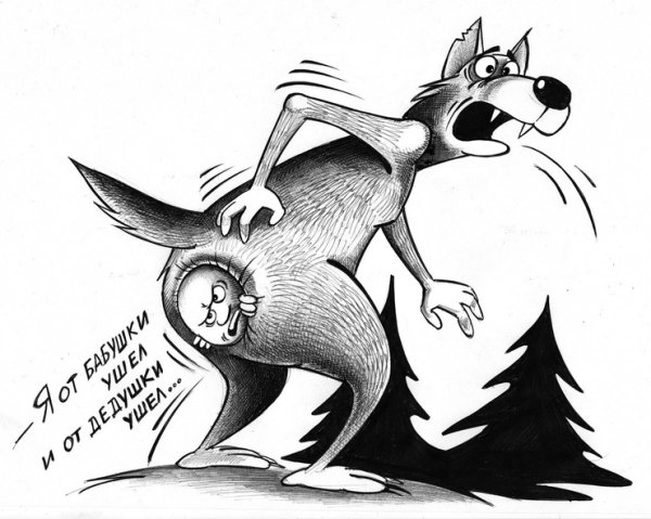 Цитаты Волков