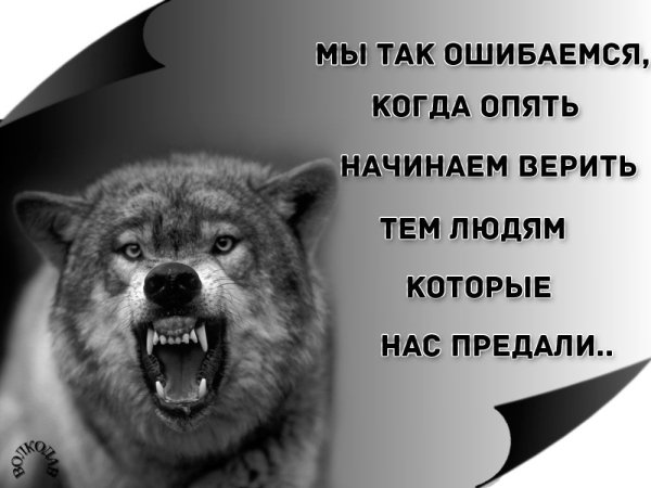 Пословицы про волка