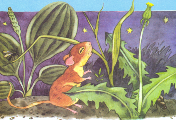 Мышонок пик