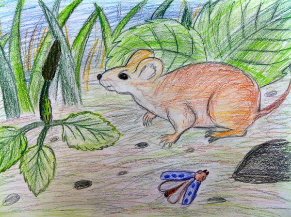 Мышонок пик