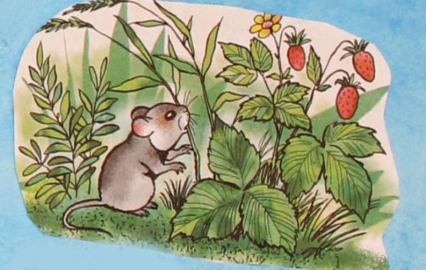 Иллюстрациz к рассказу "мышонок пик".