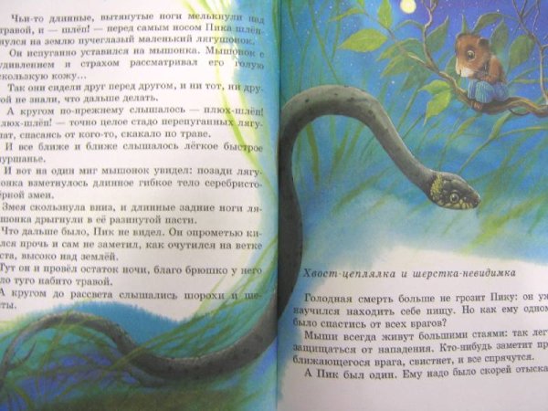 Диафильм мышонок пик