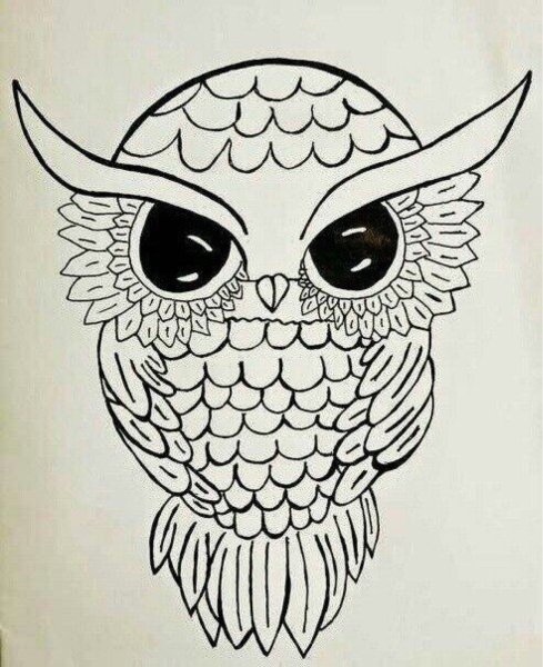 Картинки сов для СРИСР