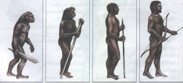 Занятия древнейшего человека