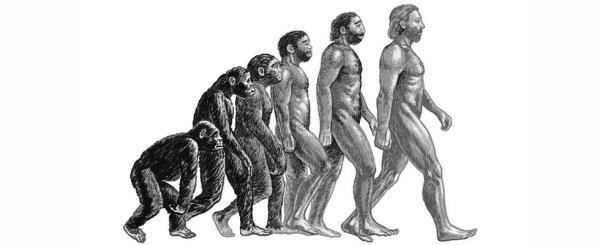 Происхождение человека