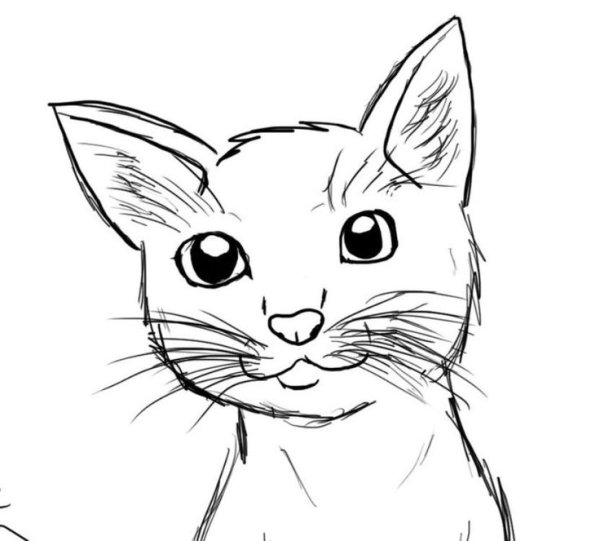 Рисунок кошки для срисовки