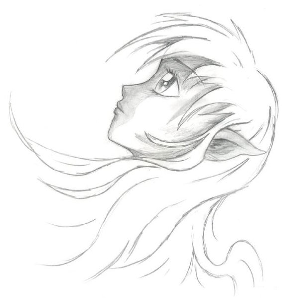 Кошка с крыльями раскраска