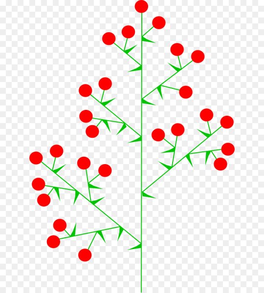 Растения с соцветием метелка