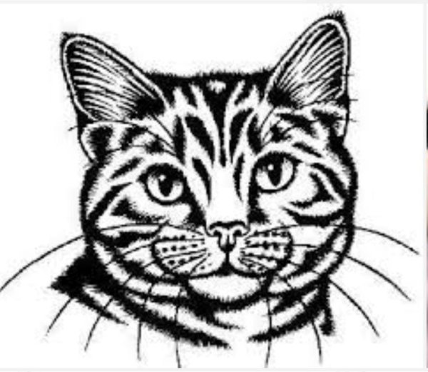 Кот для выжигания