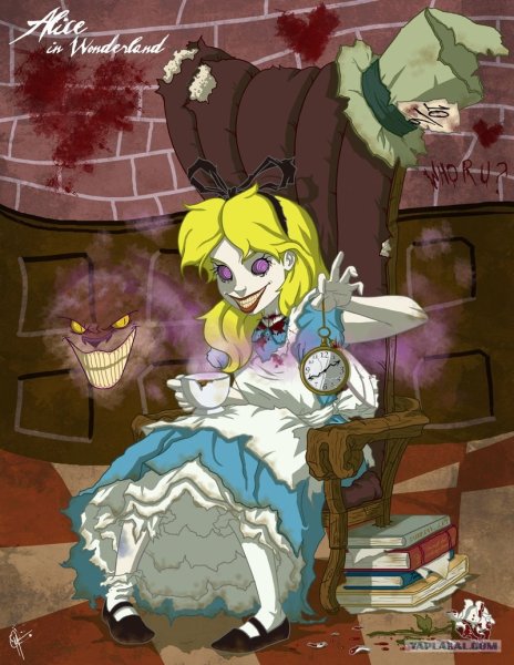 Чеширский кот Алиса Америкэн МАКГИ