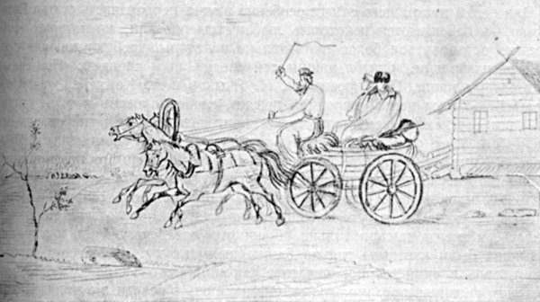 Пересолил краткое содержание