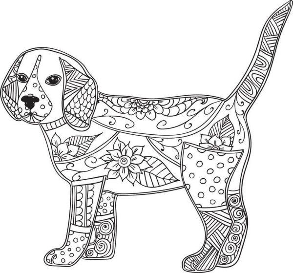 Раскраска-антистресс. Собака