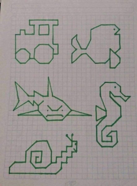 Фигуры по клеточкам в тетради