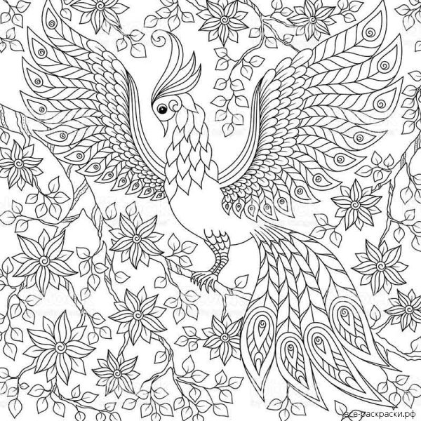 Раскраски антистресс птицы