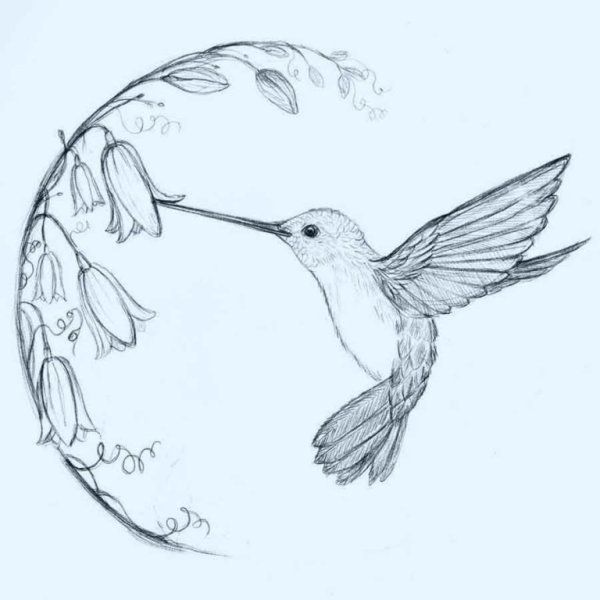 Тукан Зентангл