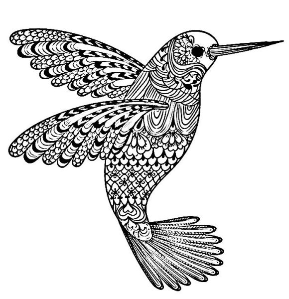 Раскраски антистресс птицы