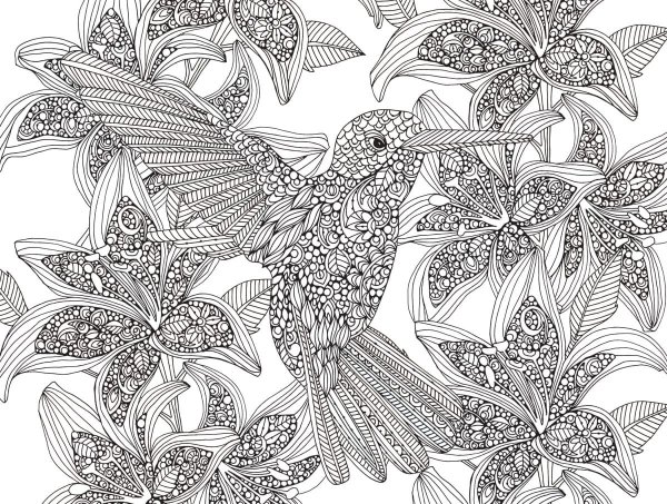 Лебедь раскраска