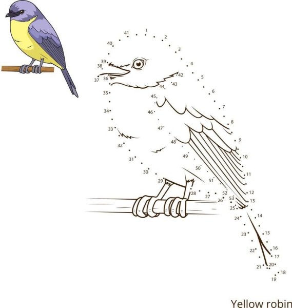 Раскраски антистресс птицы