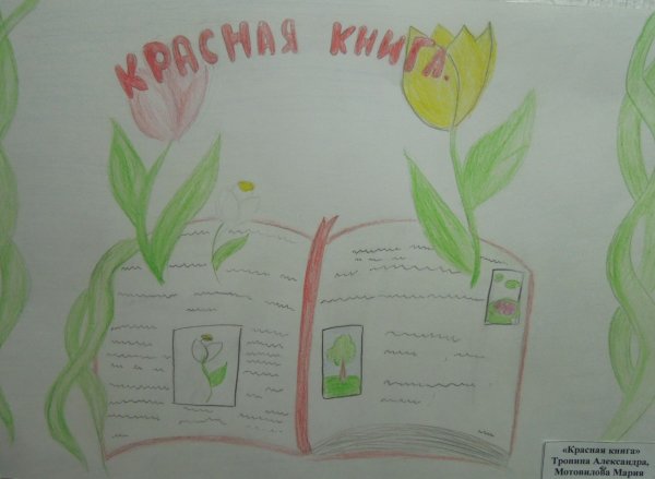 Плакат береги растения