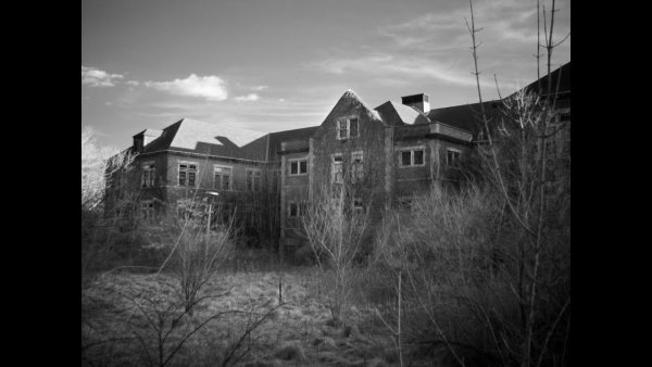 Жуткие картины Лори Липтон