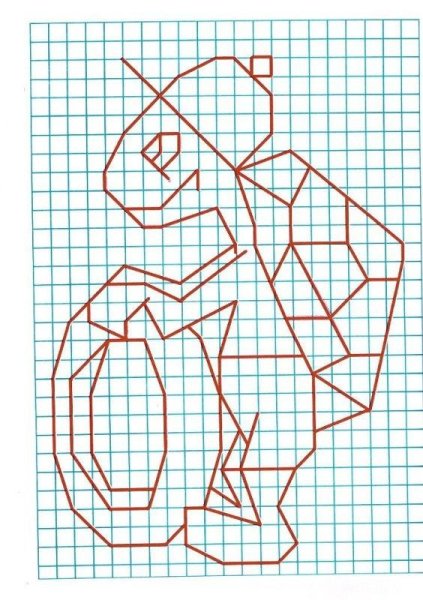 Фигуры в клетку