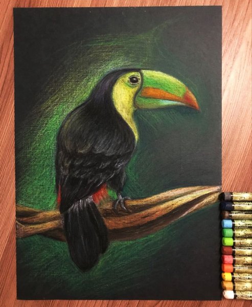 Масляная пастель на черной бумаге