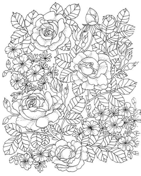 Раскраски антистресс увет