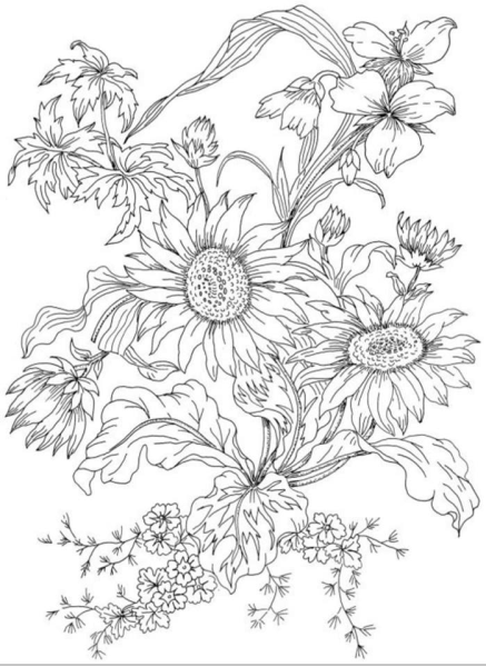 Раскраска антистресс "цветы"