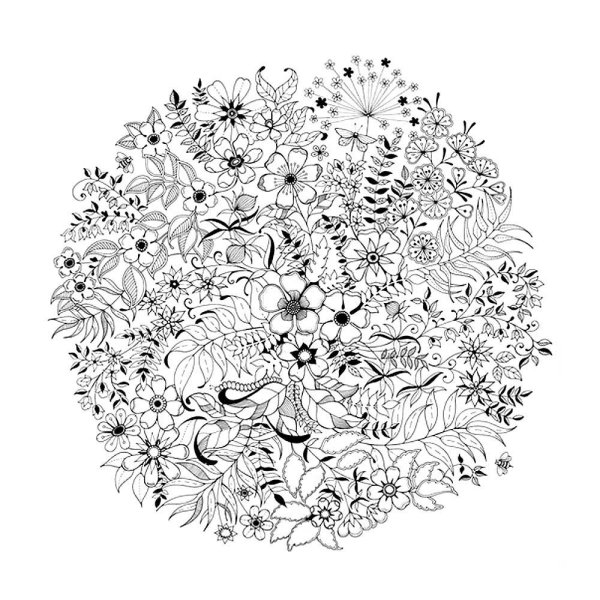 Раскраска антистресс "цветы"