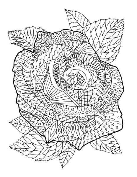 Раскраска антистресс в цвете