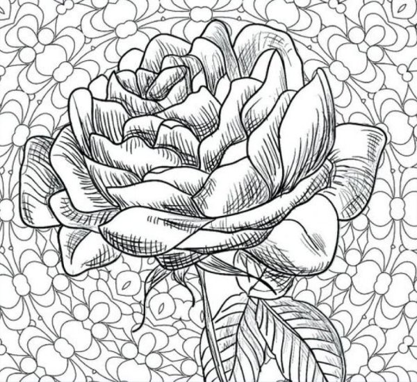 Раскраски для взрослых цветы