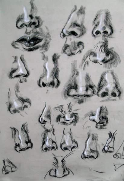 Рисование носа в разных ракурсах