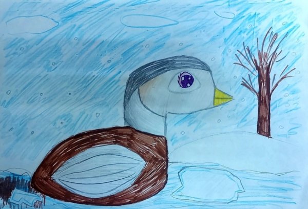 Серая шейка рисунок для детей