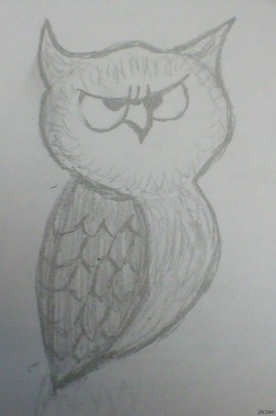 Рисунки для срисовки лёгкие