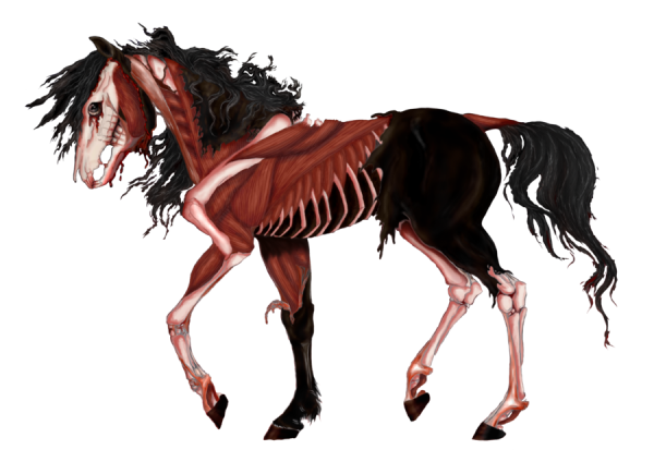 Беллудо Призрачная лошадь