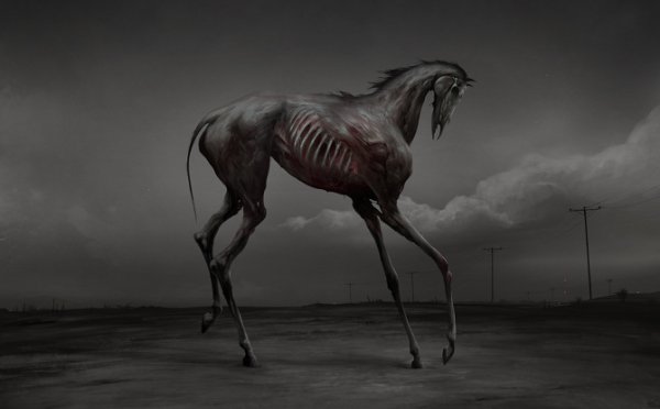 Келпи Единорог