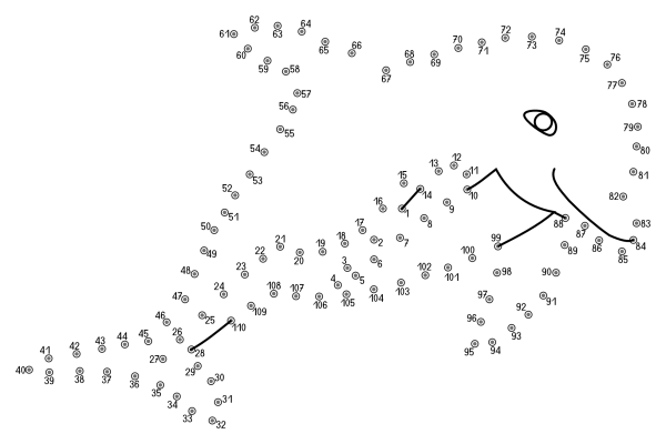 Рисование по точкам сложные