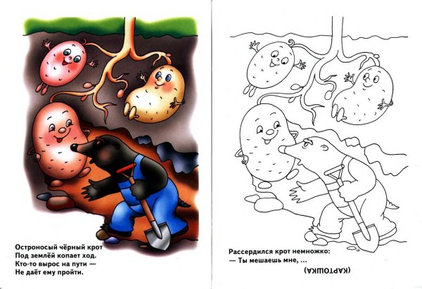 Загадки с рисунками