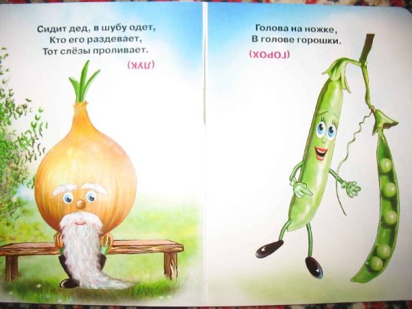 Загадки с иллюстрациями