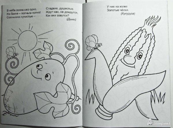 Загадки с иллюстрациями