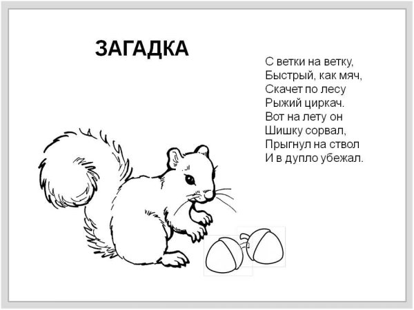 Загадки с рисунками
