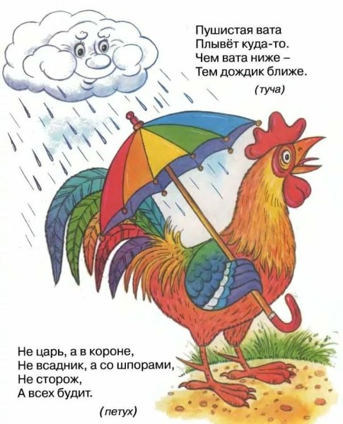 Загадки для детей