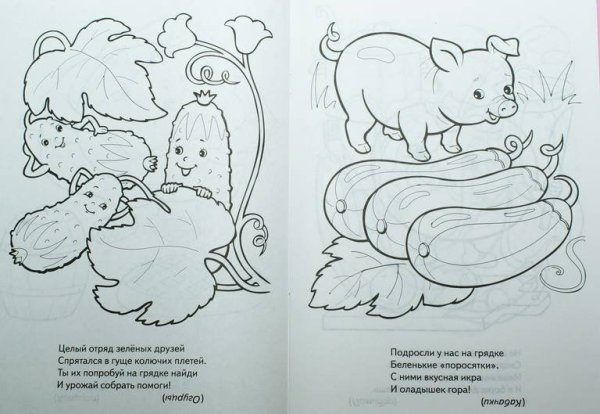 Книжка малышка загадки