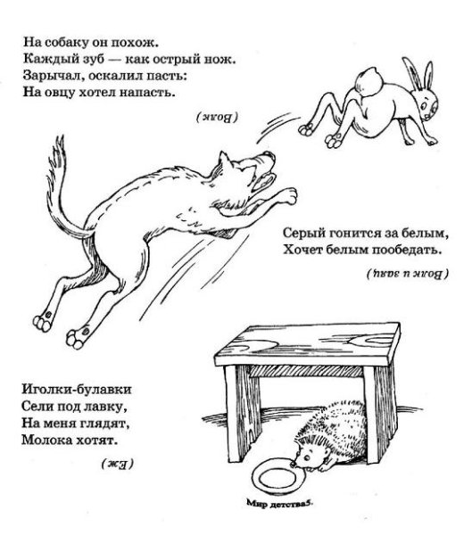 Загадки о животных