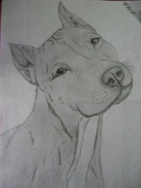 Рисунки карандашом в тетради