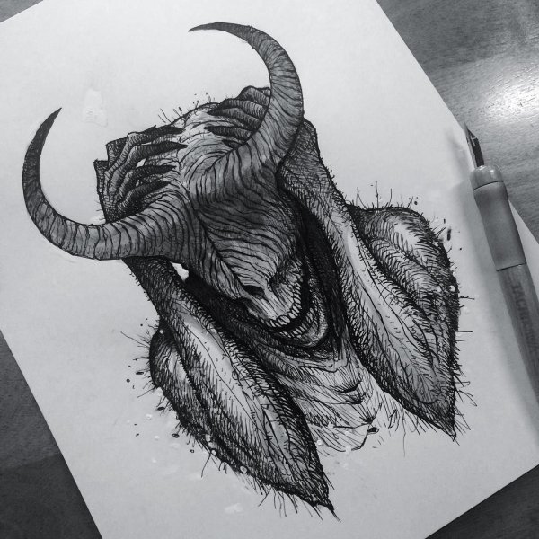 Череп скетч