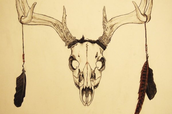 Череп оленя