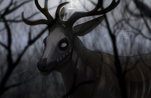 Зарисовки оленя